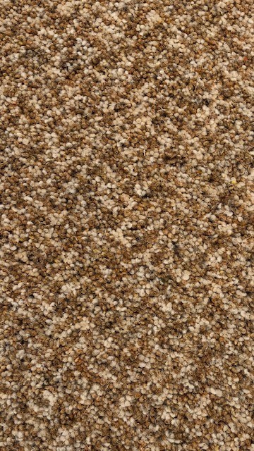 >SYLVAN SHADOWS CIRENCESTER CORN